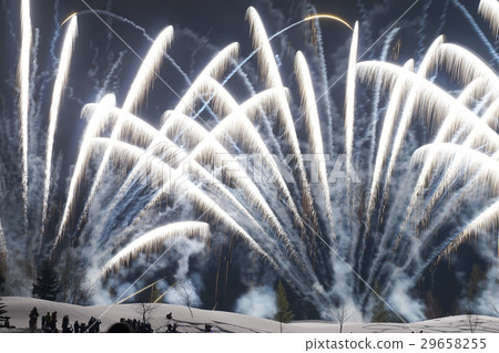 冬天的煙花 29658255