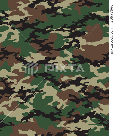 Seamless  camouflage pattern 29658660