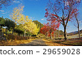 Autumn landscape at Shinshiro Park, Nagoya Japan 29659028