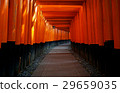 Torii gates at Fushimi Inari Shrine in Kyoto 29659035