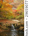 Beautiful autumn scenery with waterfall in forest. 29659077