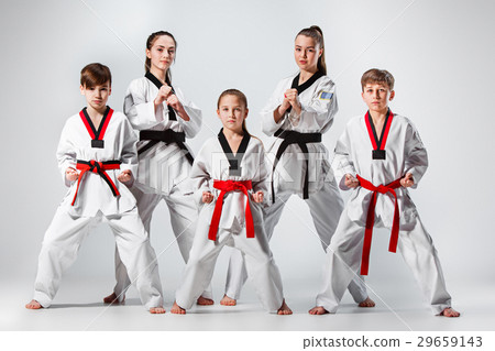 The studio shot of group of kids training karate The studio shot of group of kids training karate 29659143