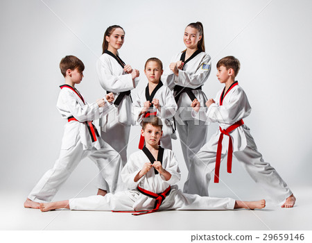 The studio shot of group of kids training karate The studio shot of group of kids training karate 29659146