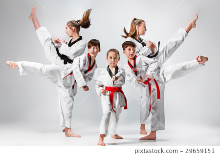 The studio shot of group of kids training karate The studio shot of group of kids training karate 29659151