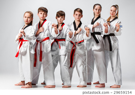 The studio shot of group of kids training karate The studio shot of group of kids training karate 29659154