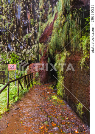 Risco levada in Madeira Portugal 29659535