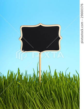 Black chalkboard in green grass over blue sky Black chalkboard in green grass over blue sky 29660376