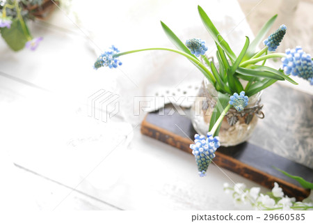 插花 插花 29660585
