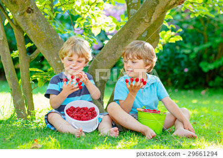 Two little friends, kid boys having fun on 29661294