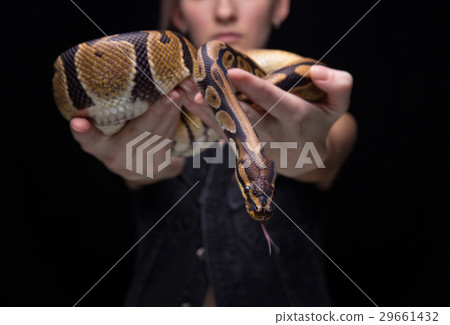 Young woman showing snake Young woman showing snake 29661432