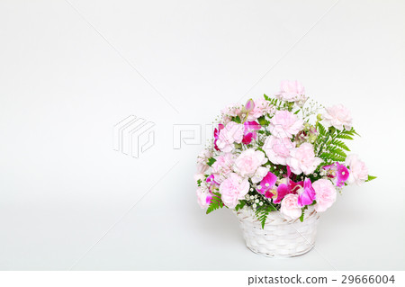 Mother's Day Carnation Flower Arrangement Mother's Day Carnation Flower Arrangement 29666004