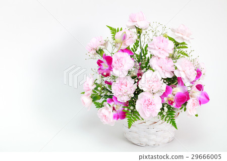 母親節康乃馨插花 母親節康乃馨插花 29666005