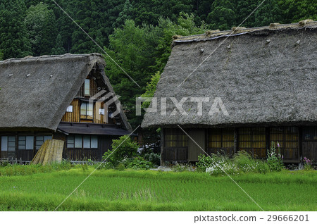 岐阜縣白川鄉白川村製作聯合形成世界遺產 29666201