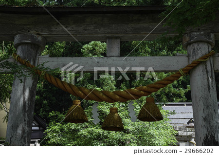 岐阜縣白川村神社鳥居 29666202
