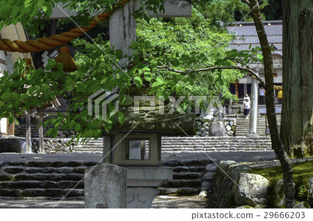 岐阜縣白川村神社鳥居 29666203