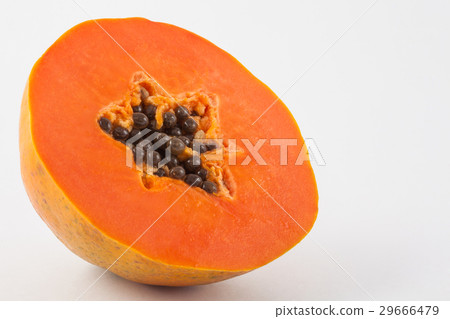 Papaya (Carica papaya) 29666479