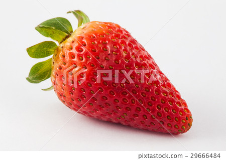 Strawberry (Fragaria ananassa) 29666484