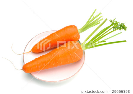 胡蘿蔔,紅蘿蔔,蔬菜,紅色 29666598