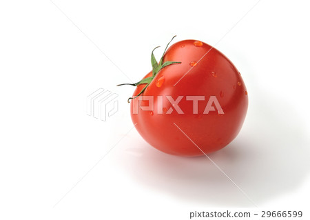 新鮮,番茄,水果,紅色 新鮮,番茄,水果,紅色 29666599