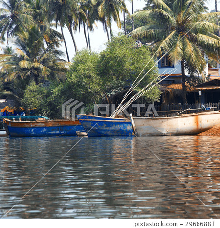 Fishing boats at the pier in palm jungles 29666881