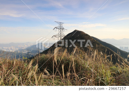 autumn landscape on top Fei Ngo Shan autumn landscape on top Fei Ngo Shan 29667257