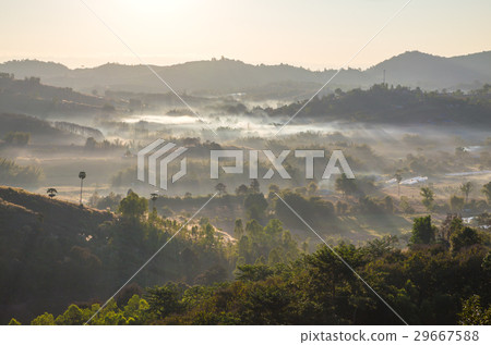 mountains with trees and fog in Thailand 29667588