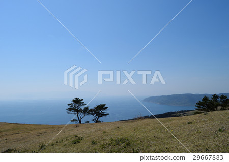 Cape Toki 29667883