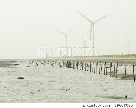 wetlands wetlands 29668059