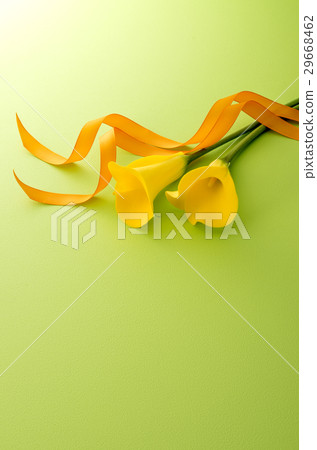 黃色和絲帶 29668462