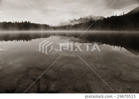 Lake Herbert 29670515