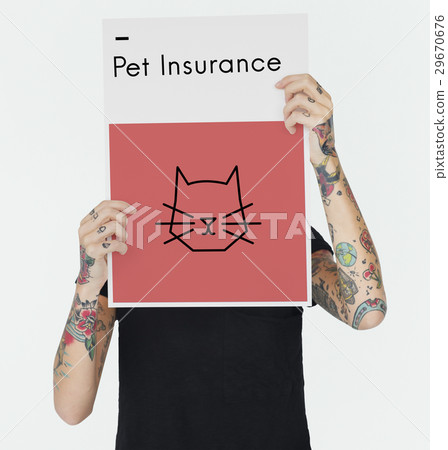 Adopt Animals Best Friends Cat Icon Adopt Animals Best Friends Cat Icon 29670676