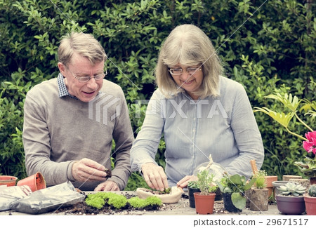 Botanical Environment Green Pottery Nature 29671517
