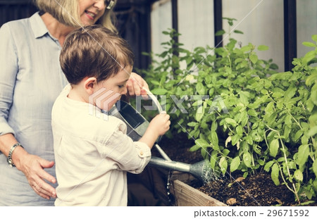 Watering Plant Growing Pastime Environment 29671592