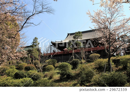 Shimizu Kannondo 29672339