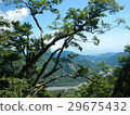 山景 29675432