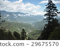 山 29675570