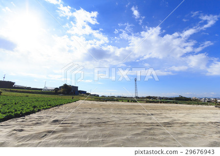 Field in winter sunny days Field in winter sunny days 29676943