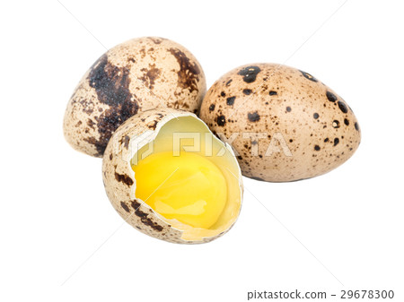 Quail eggs Quail eggs 29678300