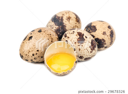 Quail eggs 29678326