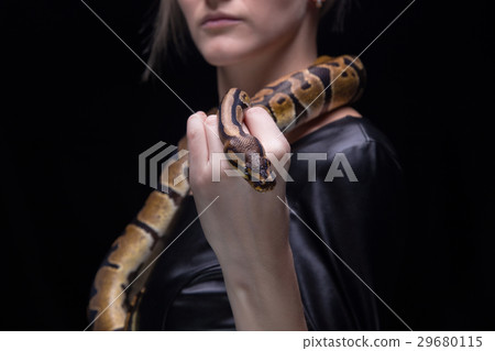 Woman in leather dress holding ball python Woman in leather dress holding ball python 29680115