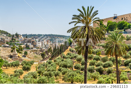 Church of All Nations in the Kidron Valley - 29681113