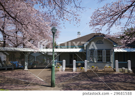 Blue sky and old 68th building and cherry (front) 29681588