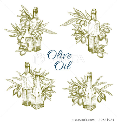 Olive oil bottle with fruit and branch sketch 29681924
