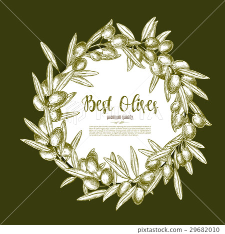 Olive fruit wreath sketch poster for food design Olive fruit wreath sketch poster for food design 29682010