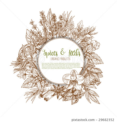 Spices, herbs and leaf vegetable seasoning poster Spices, herbs and leaf vegetable seasoning poster 29682352