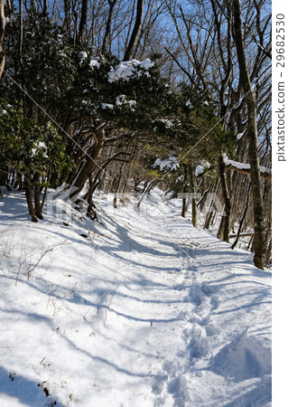 Climbing trail of residual snow 29682530