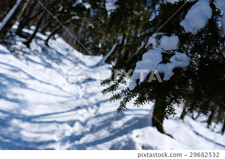 Climbing trail of residual snow 29682532