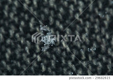 Crystal of snow	 29682615