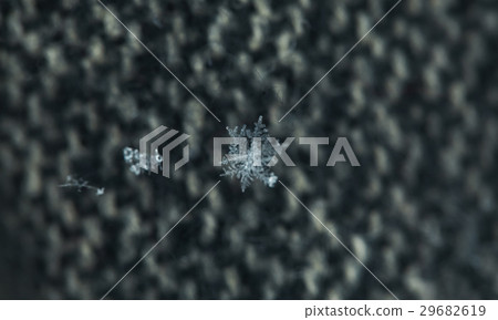 Crystal of snow	 29682619