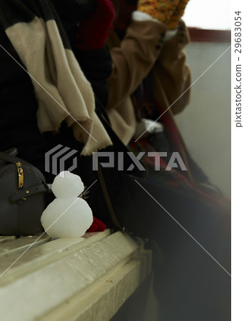 Ladies travel in winter Snowmen 29683054